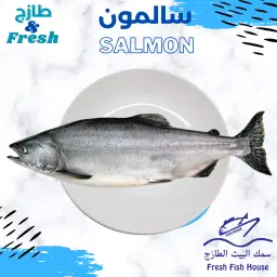 Salmon Fish Meal